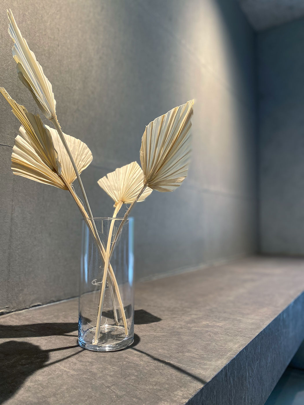 建築についての写真（建物や内装など）