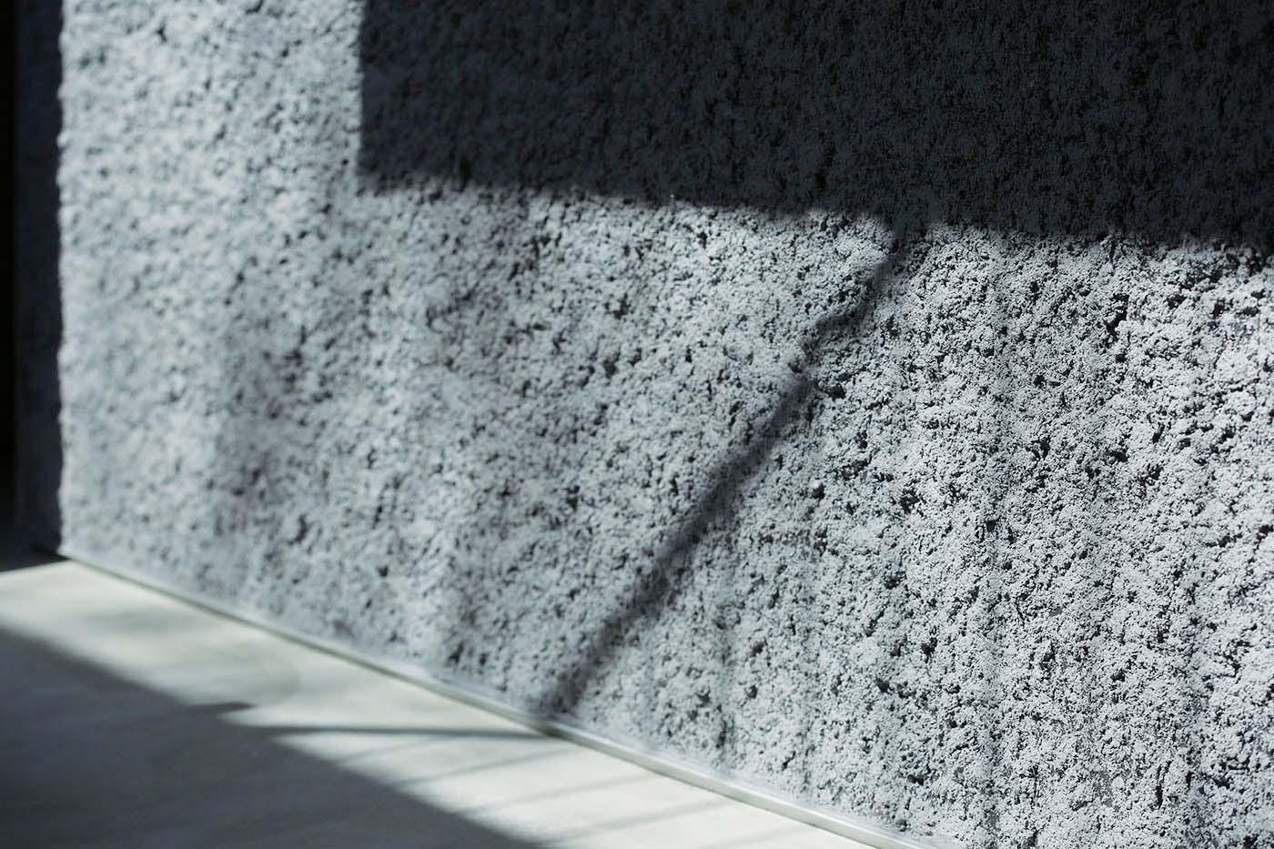 綺麗なお花と木々