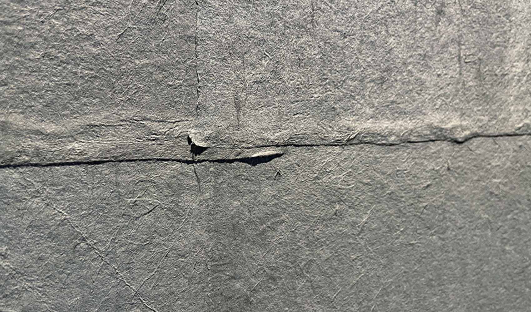 アートな空間の壁