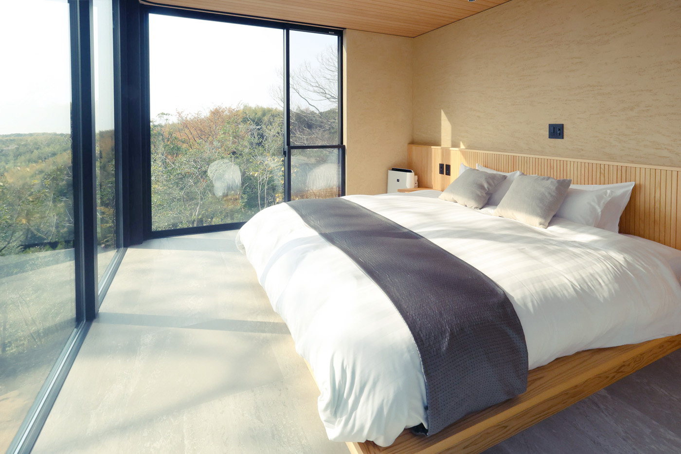 施設のお部屋のA（キングサイズベッド 1 台）